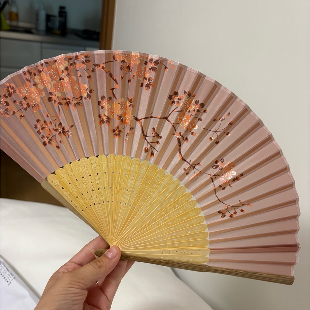 Authentic Japanese Fan comes with case